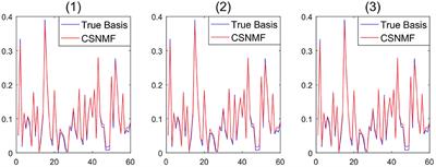 Co-sparse Non-negative Matrix Factorization